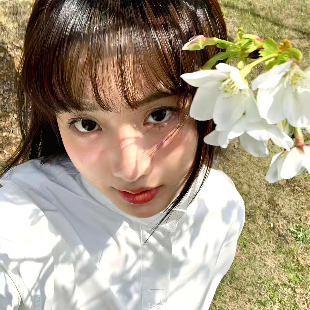 新女婿时代
